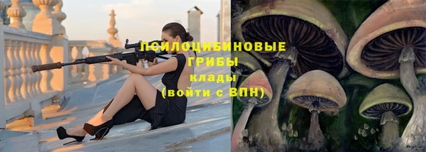 тгк Алексеевка