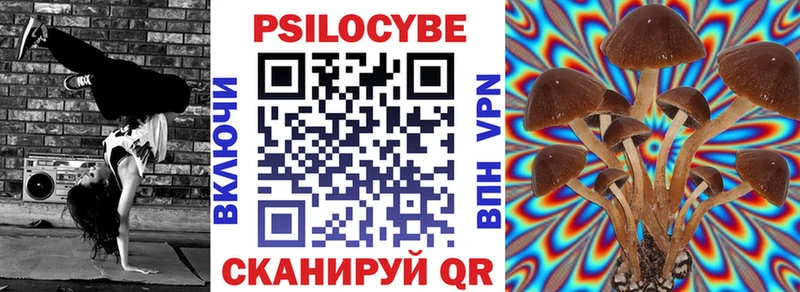 цена   Поронайск  Галлюциногенные грибы Cubensis 